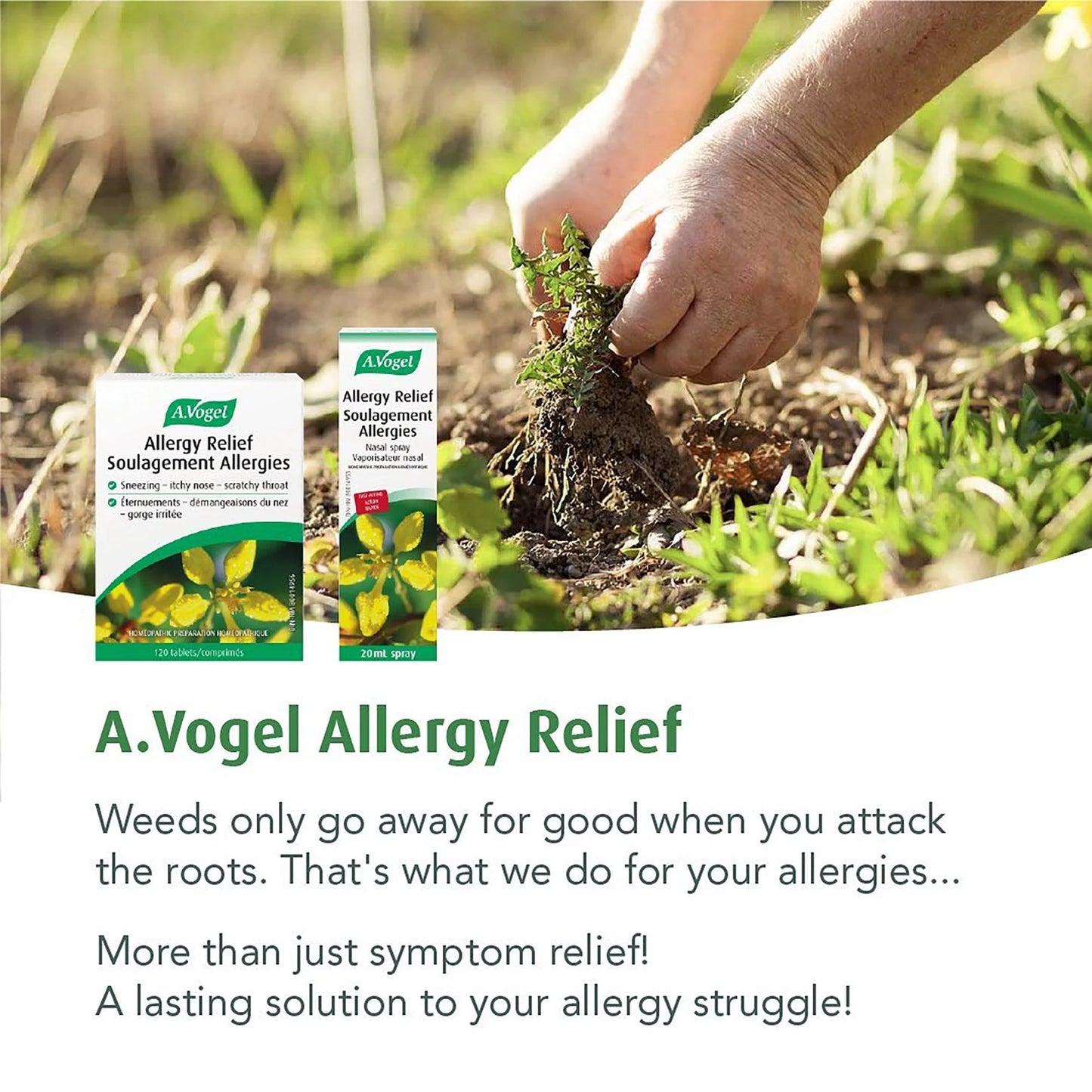 A.Vogel Allergy Relief - Hay Fever Symptoms Non-drowsy