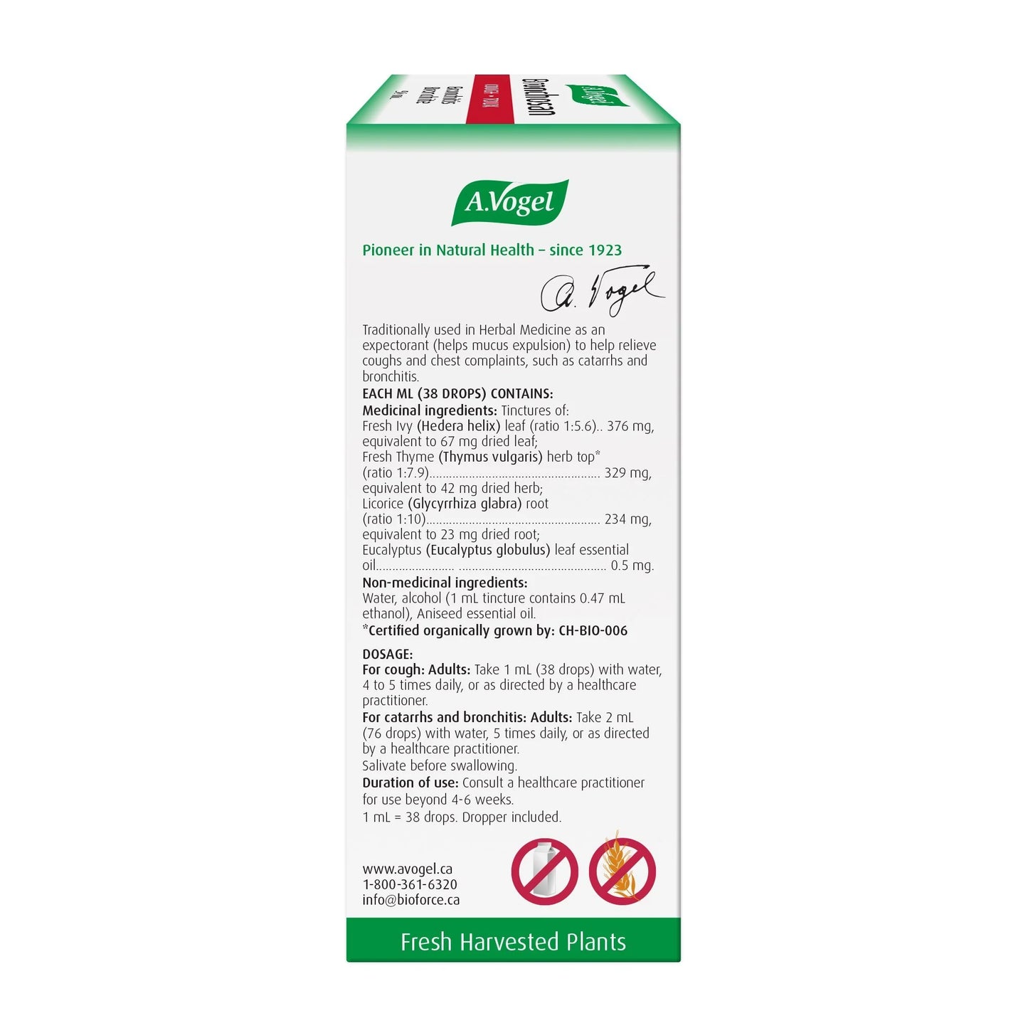 A.Vogel Bronchosan Natural Cough Remedy and Expectorant | Combination of Ivy, Thyme and Liquorice Root