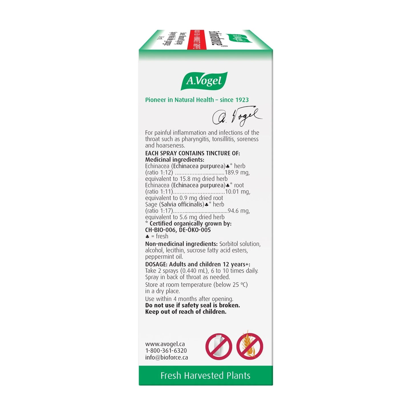 A.Vogel Echinaforce Sore Throat Spray Fast Acting Relief
