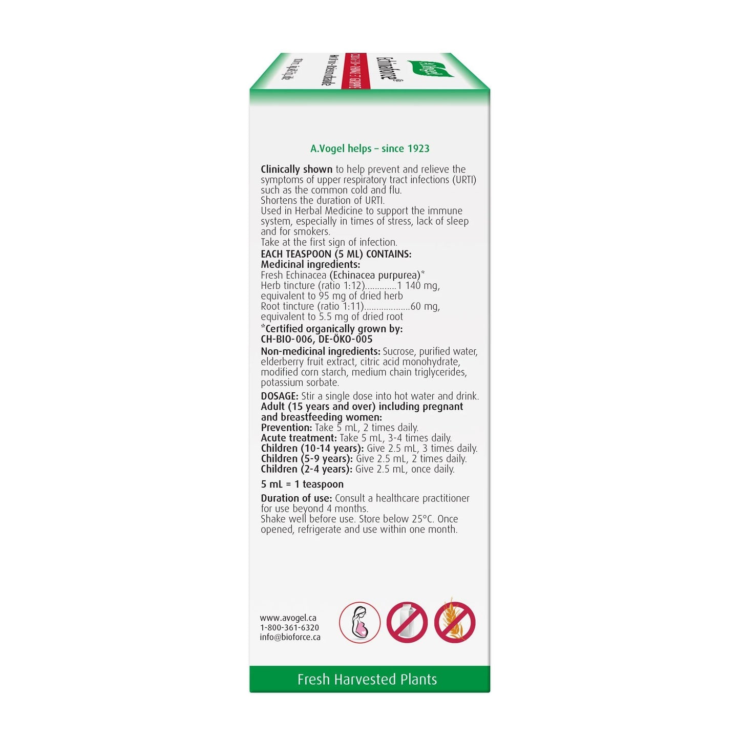 A.Vogel Echinaforce Extra Hot Drink with Elderberry - Immune System Support