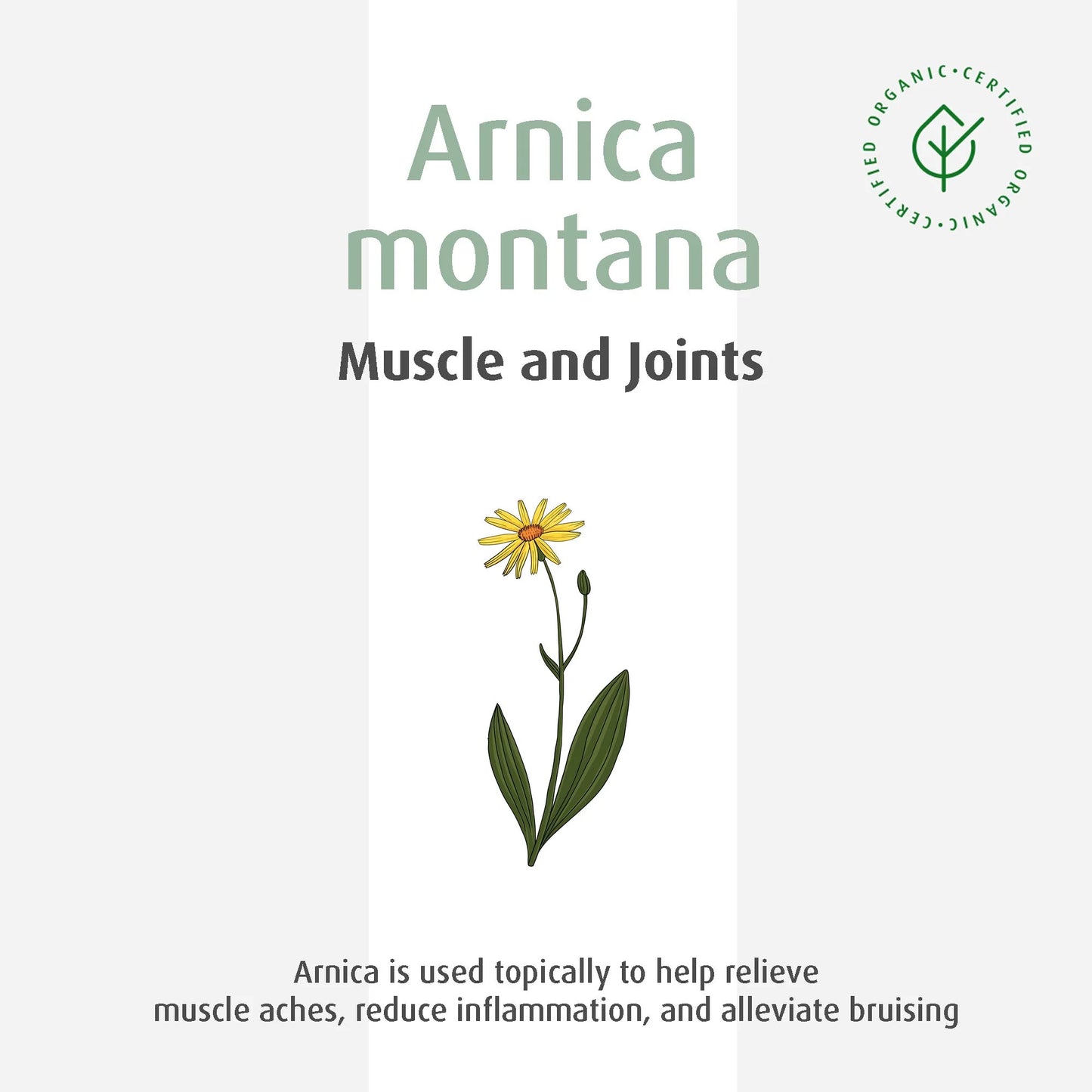 A.Vogel Absolüt Arnica Gel for Sprains, Bruises and Joint Pain 50 ml