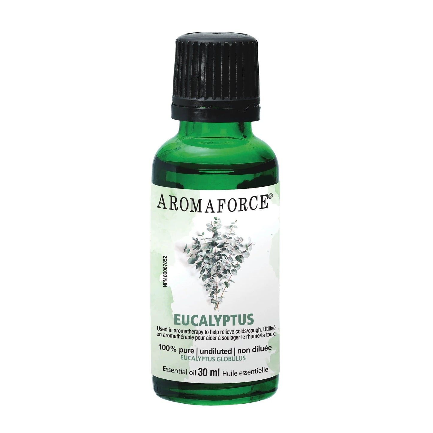 Eucalyptus Essential Oil 100% pure and natural