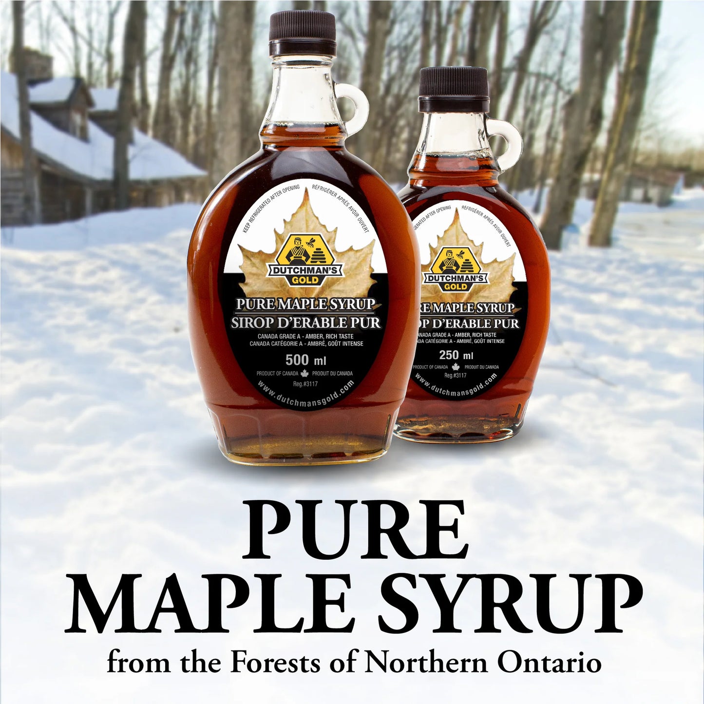 MAPLE SYRUP