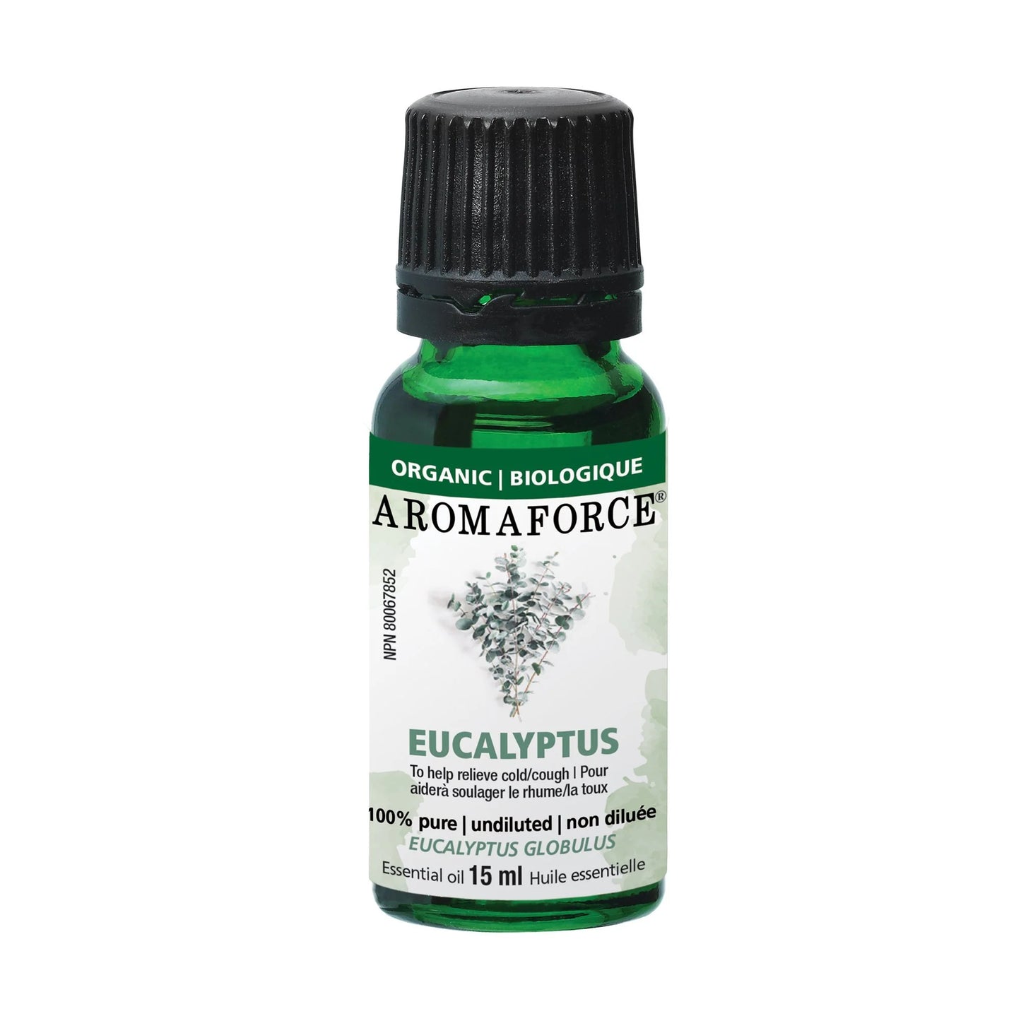 Organic Eucalyptus Essential Oil 100% pure and natural