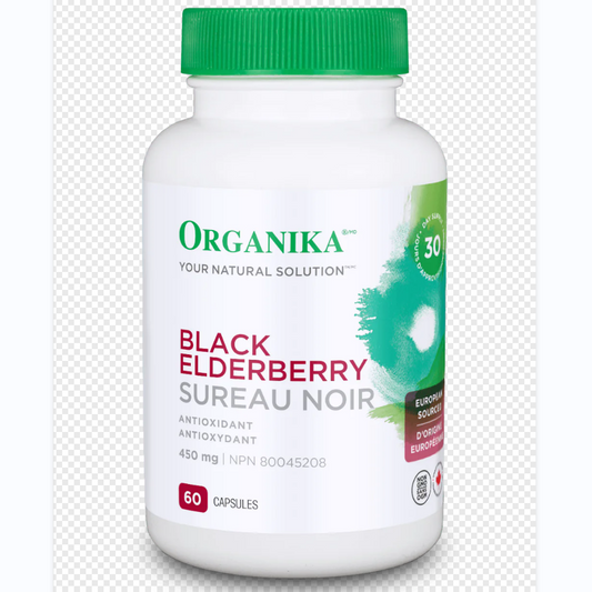 Black Elderberry
