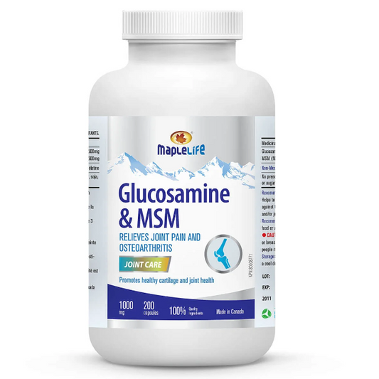 Glucosamine Plus MSM 1000mg