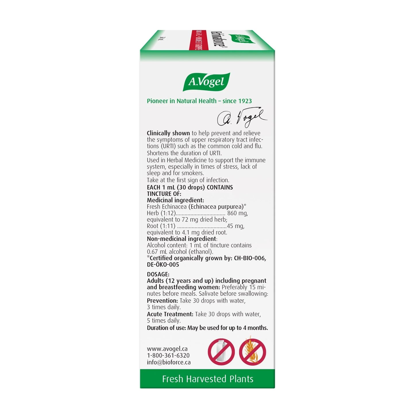 A.Vogel Echinaforce Liquid - Immune System Support
