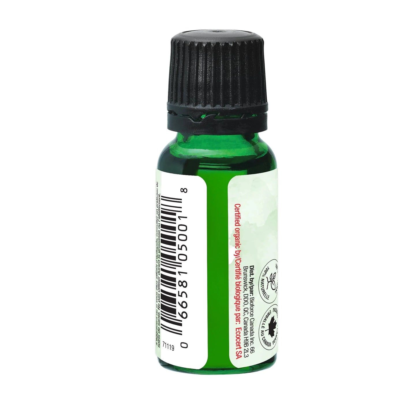 Organic Eucalyptus Essential Oil 100% pure and natural