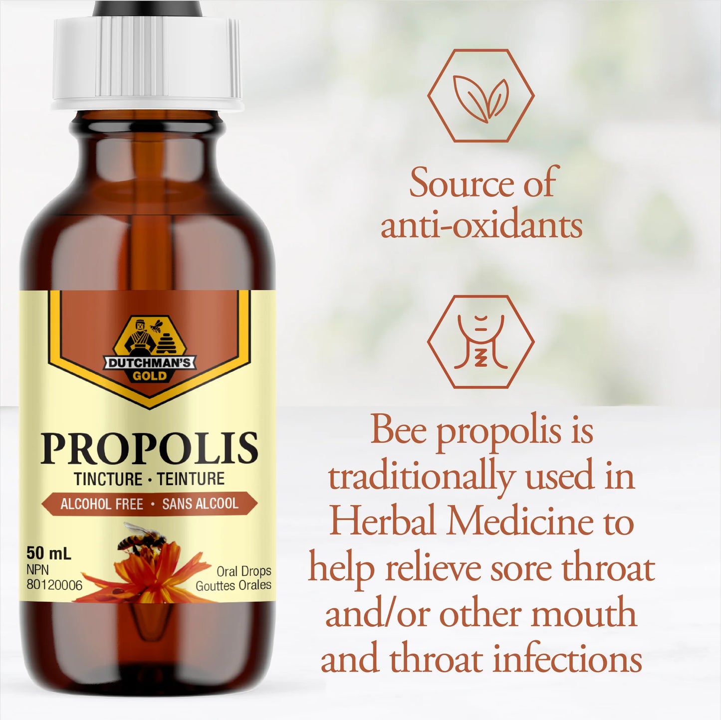 PROPOLIS TINCTURE - ALCOHOL FREE