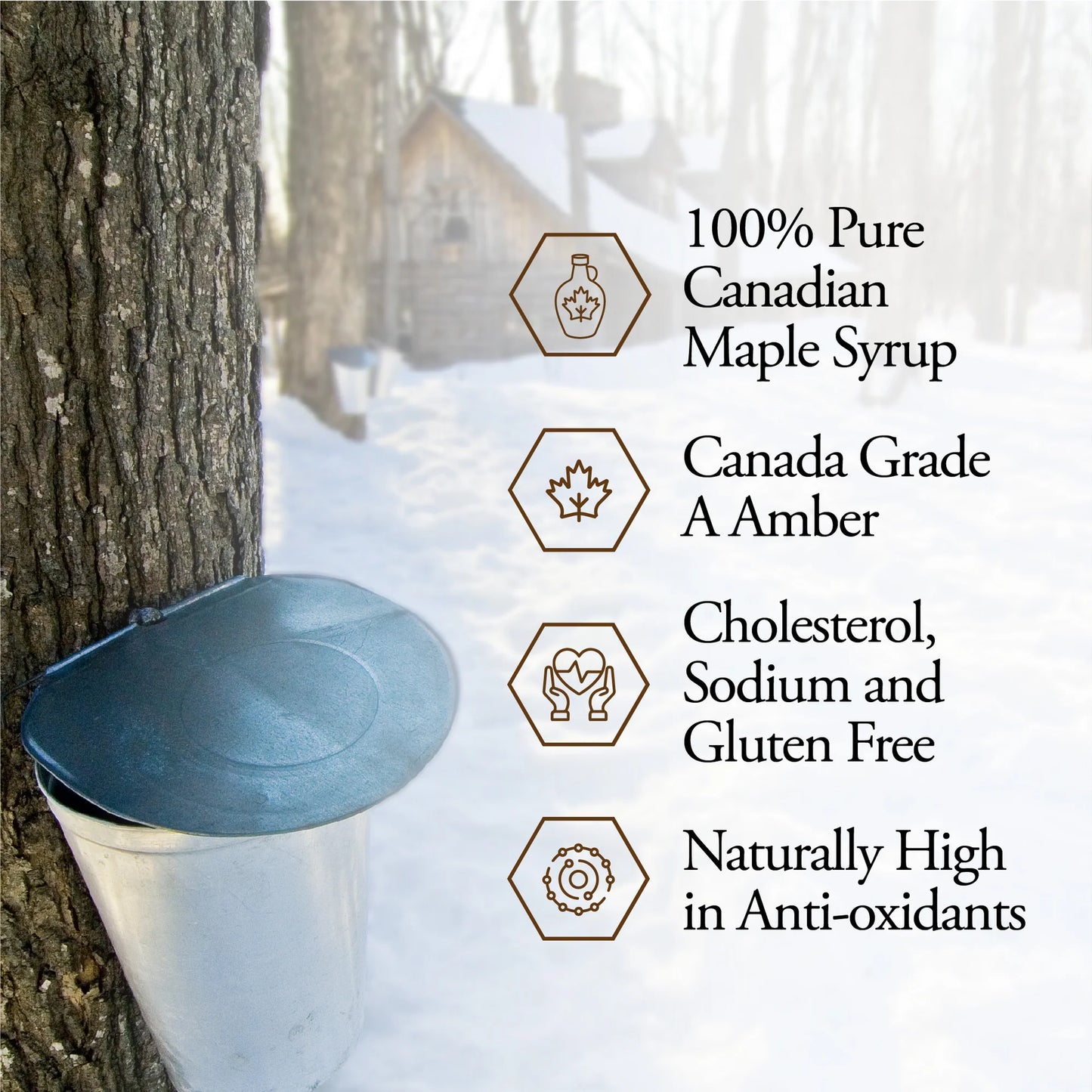 MAPLE SYRUP