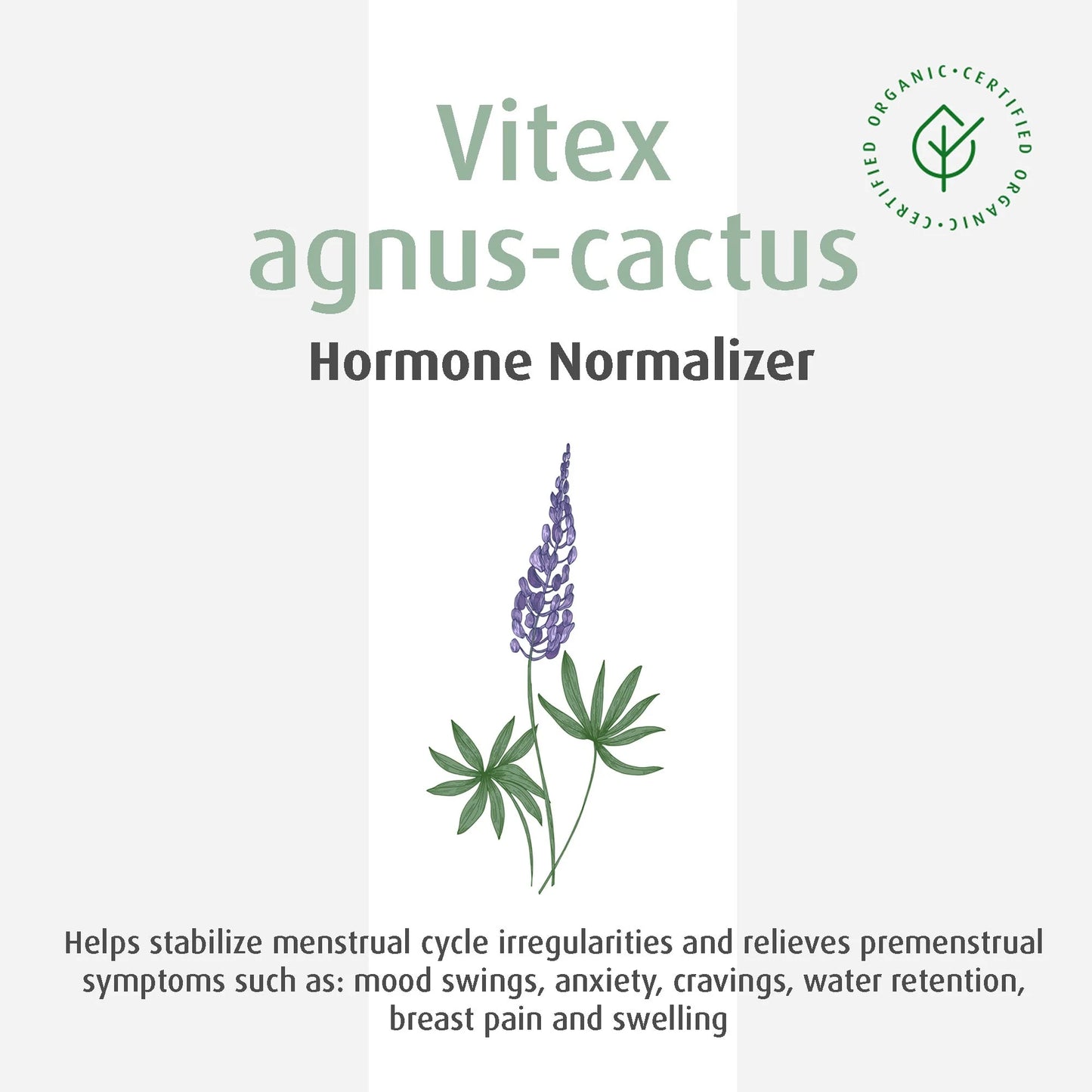 A.Vogel PMS Vitex Chasteberry (Vitex agnus-castus) - Hormone Normalizer