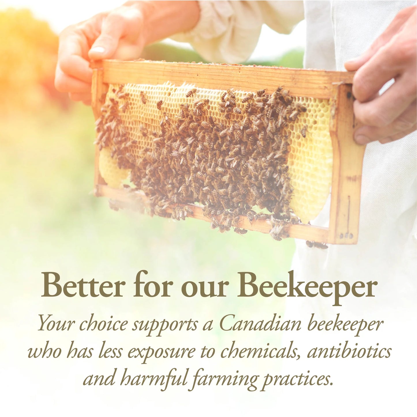 ORGANIC RAW HONEY
