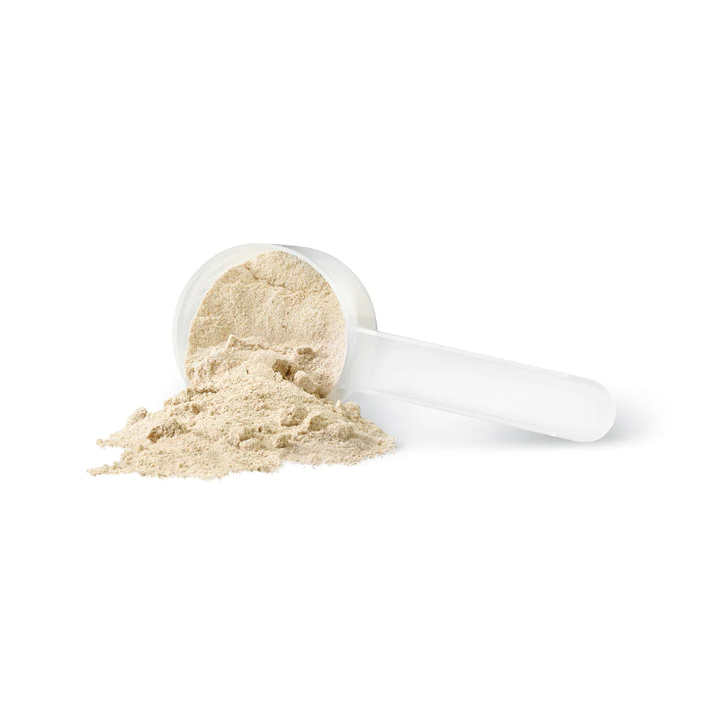HARMONIZED PROTEIN CHOCOLATE FLAVOUR